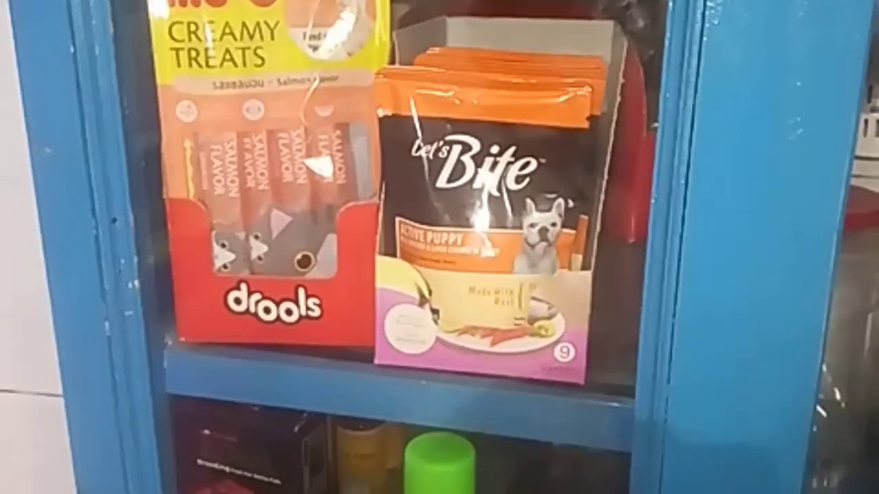 PET BAZAAR CHENNAI PET BAZAAR FISH AQUARIUM PET SHOP FISH FOOD