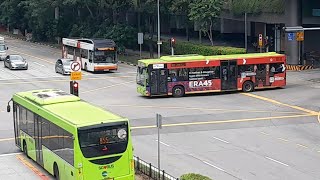 (ERA 45th Anniversary)SG1024M Service 803 (Pollen Collection II)SG1026H Service 806 Yishun Avenue 2