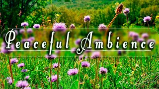 🌿🌞Begin Your Day With The Positive Energy Of Healing Spring Sounds🌻Fresh Morning Peaceful Ambience#1