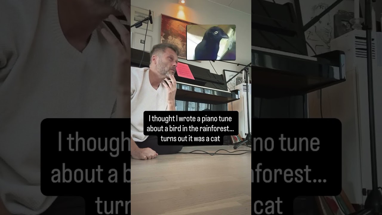Guarda I thought I wrote a piano tune about a bird in the rainforest… turns out it was a cat! su YouTube Guarda I thought I wrote a piano tune about a bird in the rainforest… turns out it was a cat! su YouTube