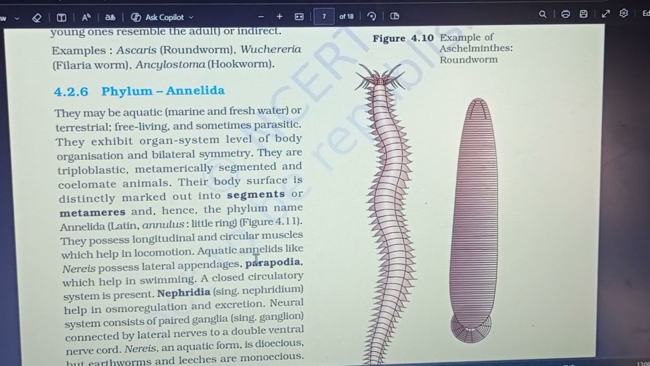 Animal kingdom ncert reading class 11