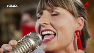 The Dixie Hot Licks - Bourbon Street Parade Live At Nazivo.avik.cz 2020