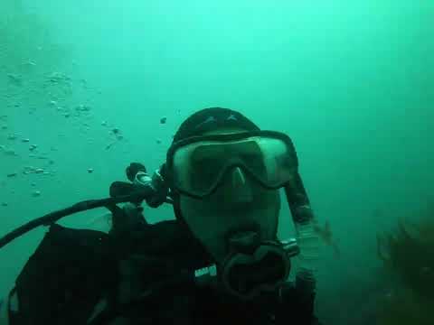 The Wall Dive Mindarie Marina Western Australia