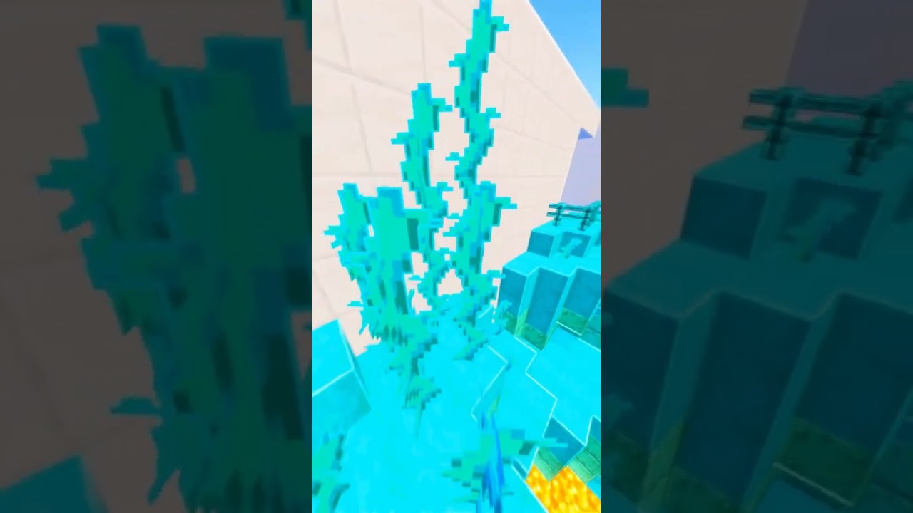 Reddit Story | I found my husbands "Dead" ex-gf in a box on our honeymoon. I filed for divorce