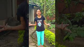 Brothers Love  funny short short emotional love viral