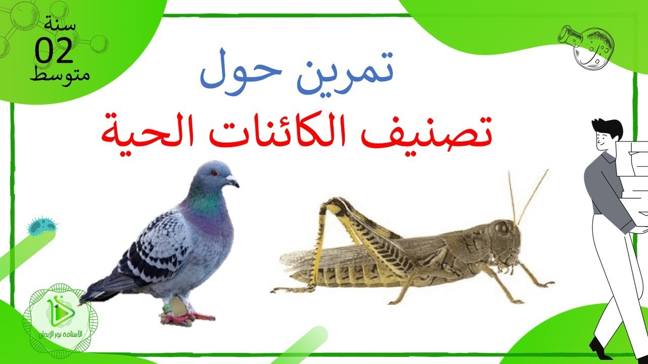تمرين حول معايير تصنيف الكائنات الحية الحمامة والجرادة علوم طبيعية سنة 02 متوسط
