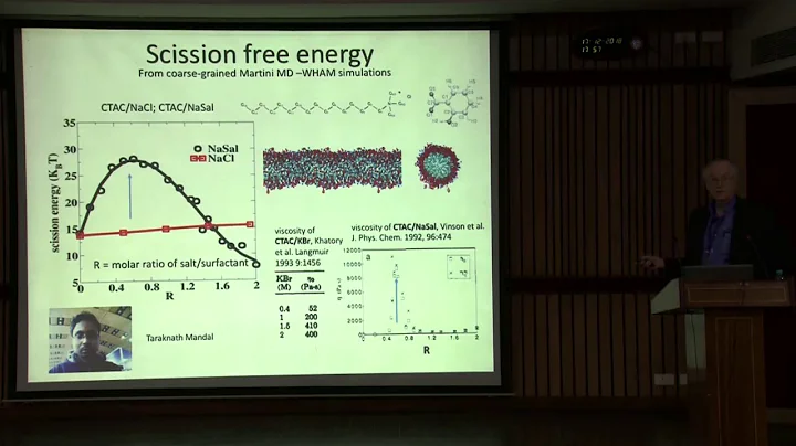 12. Simulations of polymers and surfactants at int...