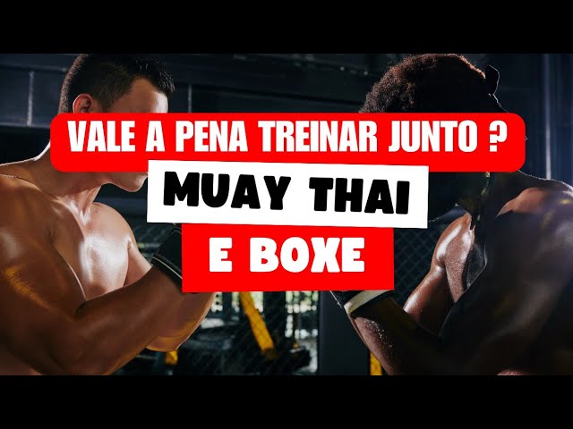 Boxe ou muay thai: qual é a melhor opção?, treinos