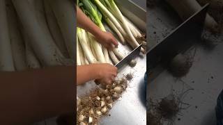 #shorts #agriculture #farming2025 #satisfying #machine #shot #tools  #EliteShortsUnleashed #7403
