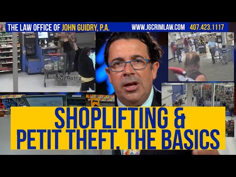 The Basics of Shoplifting & Petit Theft in Florida