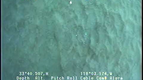 O-1-04-SC_Tape23-Vertical.mp4