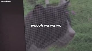 wawawa // letra