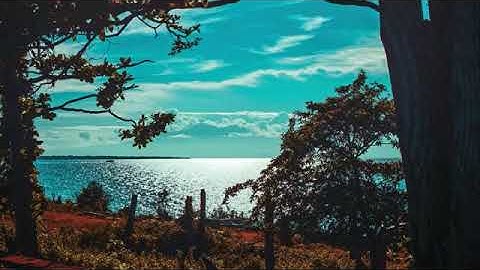 بعيداً عن صخب الحياة تلاوة تأخذك إلى عالم سكانه السكينة والطمأنينة وراحة البال للقارئ:عبدالله الموسى