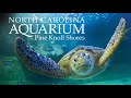 North Carolina Aquarium at Pine Knoll Shores Full Tour - Pine Knoll Shores, North Carolina