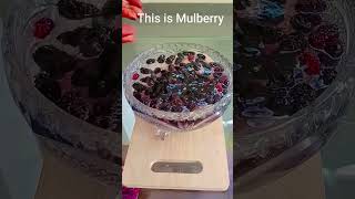 Refreshing mulberry for summer#shorts #food #mulberry #fruit#fruitcutting#youtubeshorts#trending