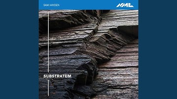 String Quartet "Transience": VI. —