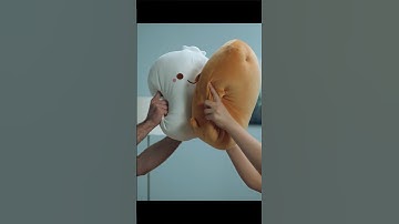 How Pillows See Pillow Fights