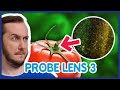 Probe lens | 3 dalis | Talžūnas, STIMOMEDIA, Lauritta, Vėjas | PILDYK Ofisas