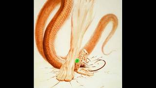 PLASMA READY !! R U READY FOR The BREAKTHROUGH ?? It IS Beyond OBVIOUS -SERPENT KILLS SHEEP-The END