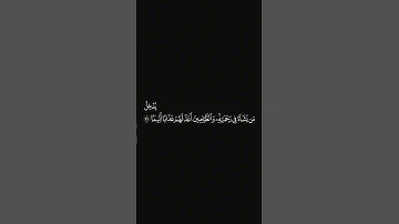 الشيخ #ياسر_الدوسري #سورة_الانسان