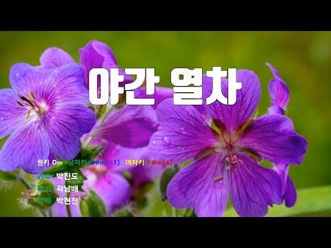 [은성 반주기] 야간열차 - 박진도