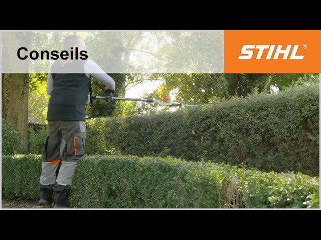 Tutoriel taille-haie n° 5 – Tailler une haie à l’horizontale avec un taille-haie sur perche