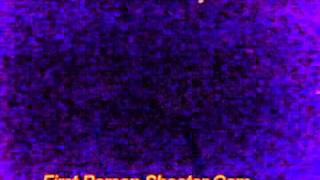 ZN3- zombie cam & FPS cam & cadre run.avi