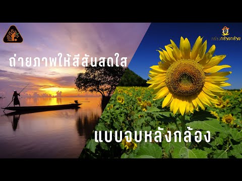 เทคนิคถ่ายภาพให้สีสันสดใสจัดจ้านแบบจบหลังกล้อง............