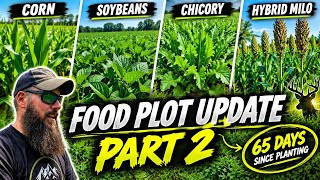 2026 Food Plot Update #2 - Great Results!