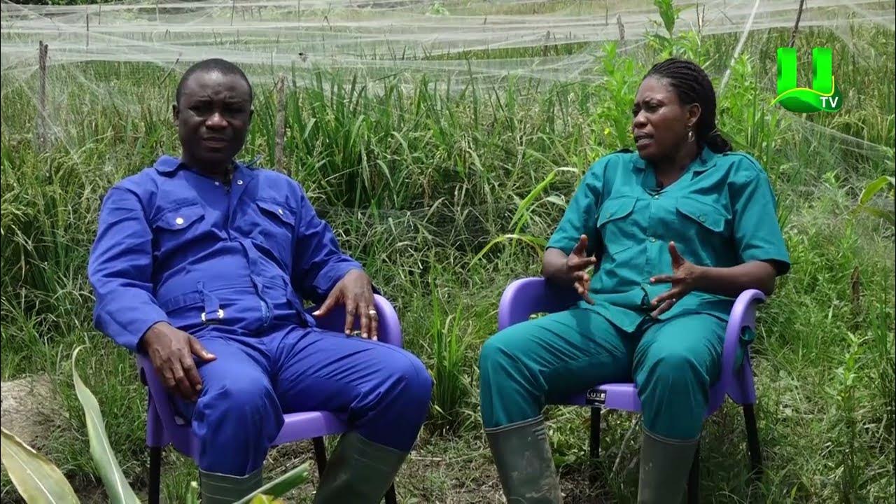 AYEKOO: UP-CLOSE WITH AGRIC DIRECTOR FOR AMENFI WEST ASANKRANGWA