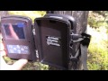 Trail cams review in woodswood knocks audio set bigfoot