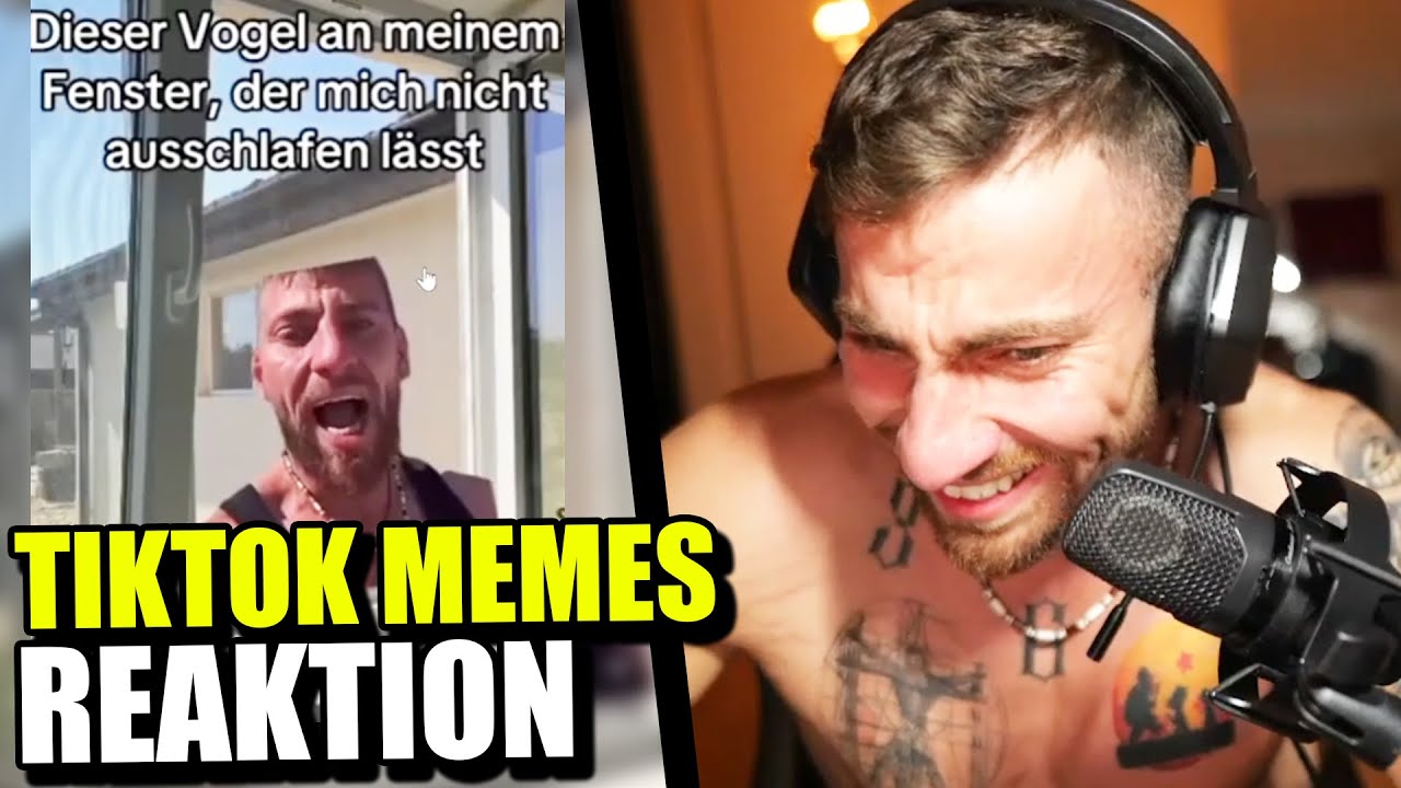Zois REAGIERT auf Mois TikTok Memes 😂 Teil 1 | Zois Highlights