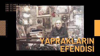 Sevgi Ve Hoşgörü Yaprakları - Nick Merdenyan