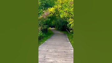 { وعباد الرحمن الذين يمشون على الأرض هونا } تلاوه عذبه تريح الأعصاب 😌 القارئ عبيد موفق💖✨️❤️