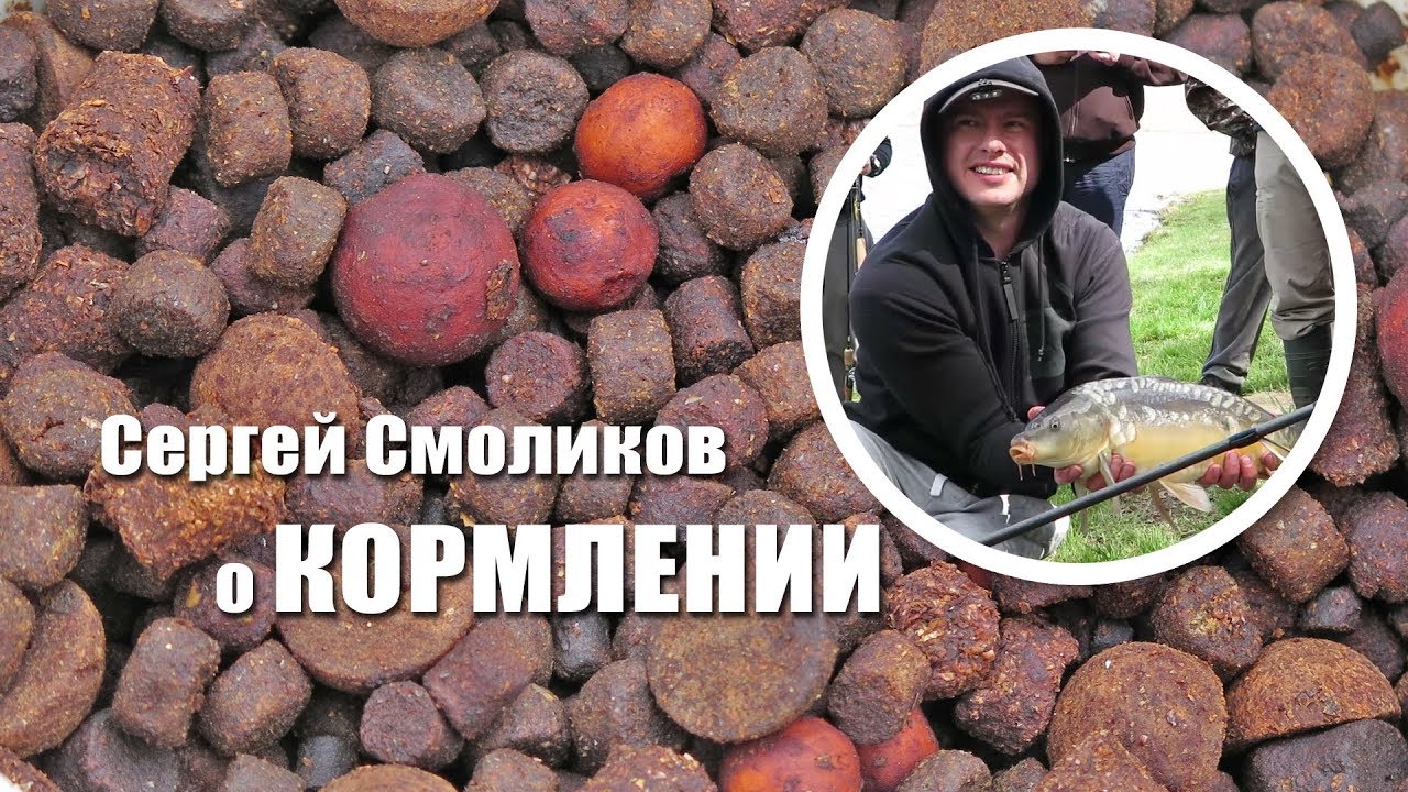 ⁣Карпфишинг для начинающих: Прикормки и насадки | Рыбалка с FishingSib 2018