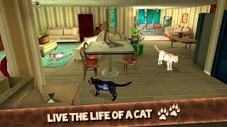 Home Animal Cat Simulator - Cute Kitty Survival 3D Gameplay Video Android/iOS screenshot 2
