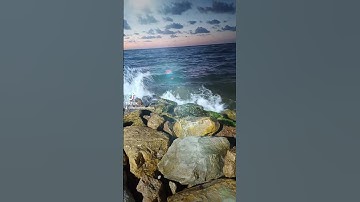 يا عبادي لا خوف عليكم اليوم. المنشاوي   من سورة الزخرف