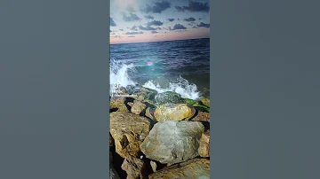 يا عبادي لا خوف عليكم اليوم المنشاوي من سورة الزخرف 