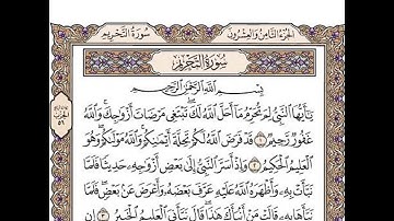 سورة التحريم مكتوبة / ماهر المعيقلي Surah Tahreem Full II By Ra'd Al Kurd
