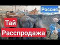 Россиядан келген ТАЙлар расспродажа болуп атыптыр