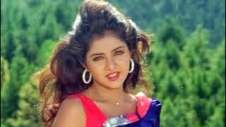 Aisi Deewangi Song - Deewana 90s | Tera Naam Rakh Diya, Divya Bharti, Shah Rukh Khan | Alka Yagnik,