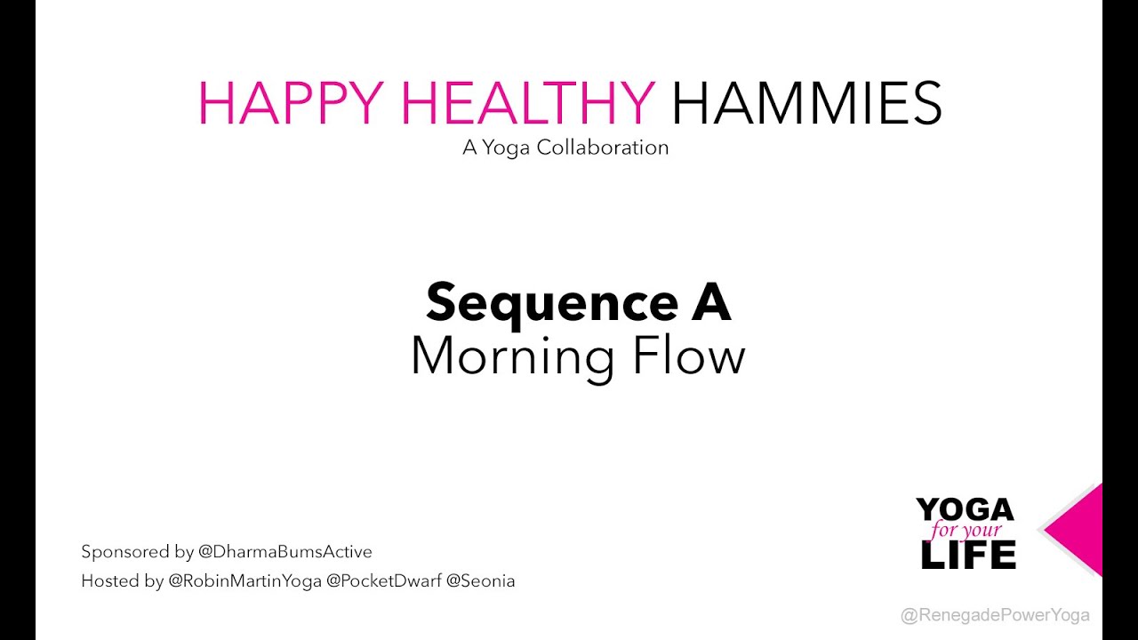 Happy Healthy Hammies Series Happy Healthy Hammies Series