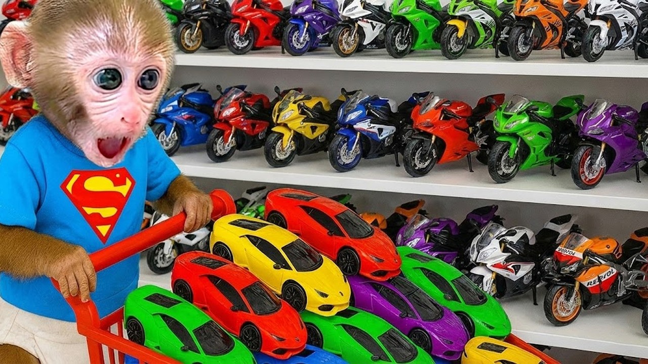 Bebé Mono GoGo Va Al Supermercado Para Comprar Juguetes De Muchos Colores - Gogo ESP