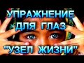 Зрение  Гимнастика для глаз  УЗЕЛ ЖИЗНИ