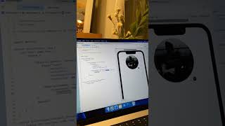 Building Instagram story badge in SwiftUI