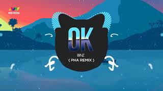 OK Remix | BINZ | Official Music Video