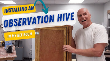 Step by Step Ultimate Guide to Installing a Bee Observation Hive