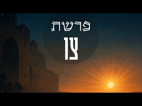 פרשת צו וליל הסדר: ההחלטיות שתשנה את חייך!