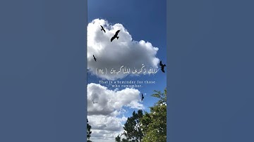 سورة هود 114-115