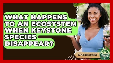 What Happens To An Ecosystem When Keystone Species Disappear? - Explaining Ecology